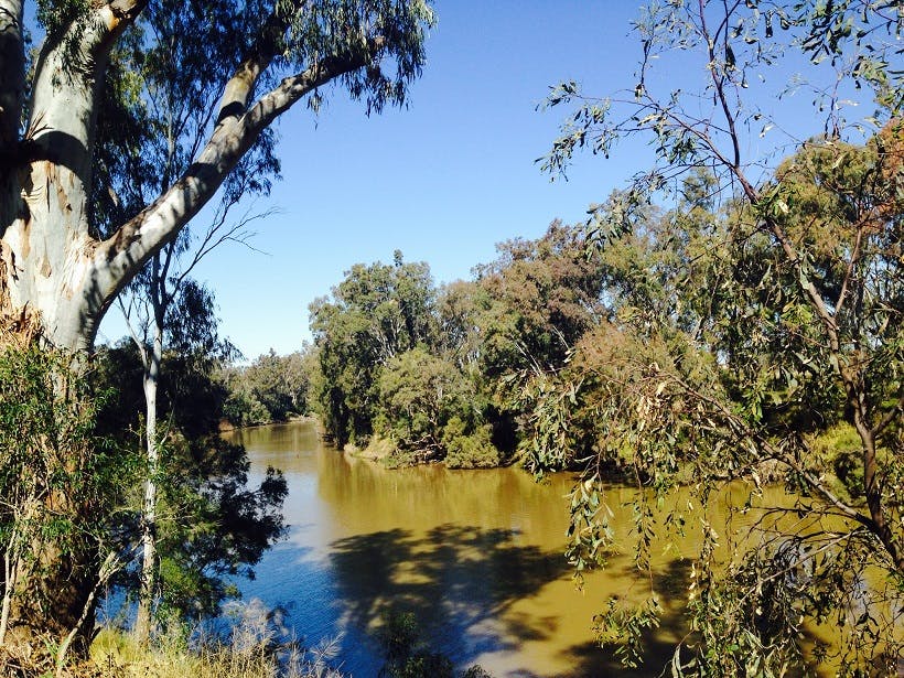 Macintyre River at Goondiwindi