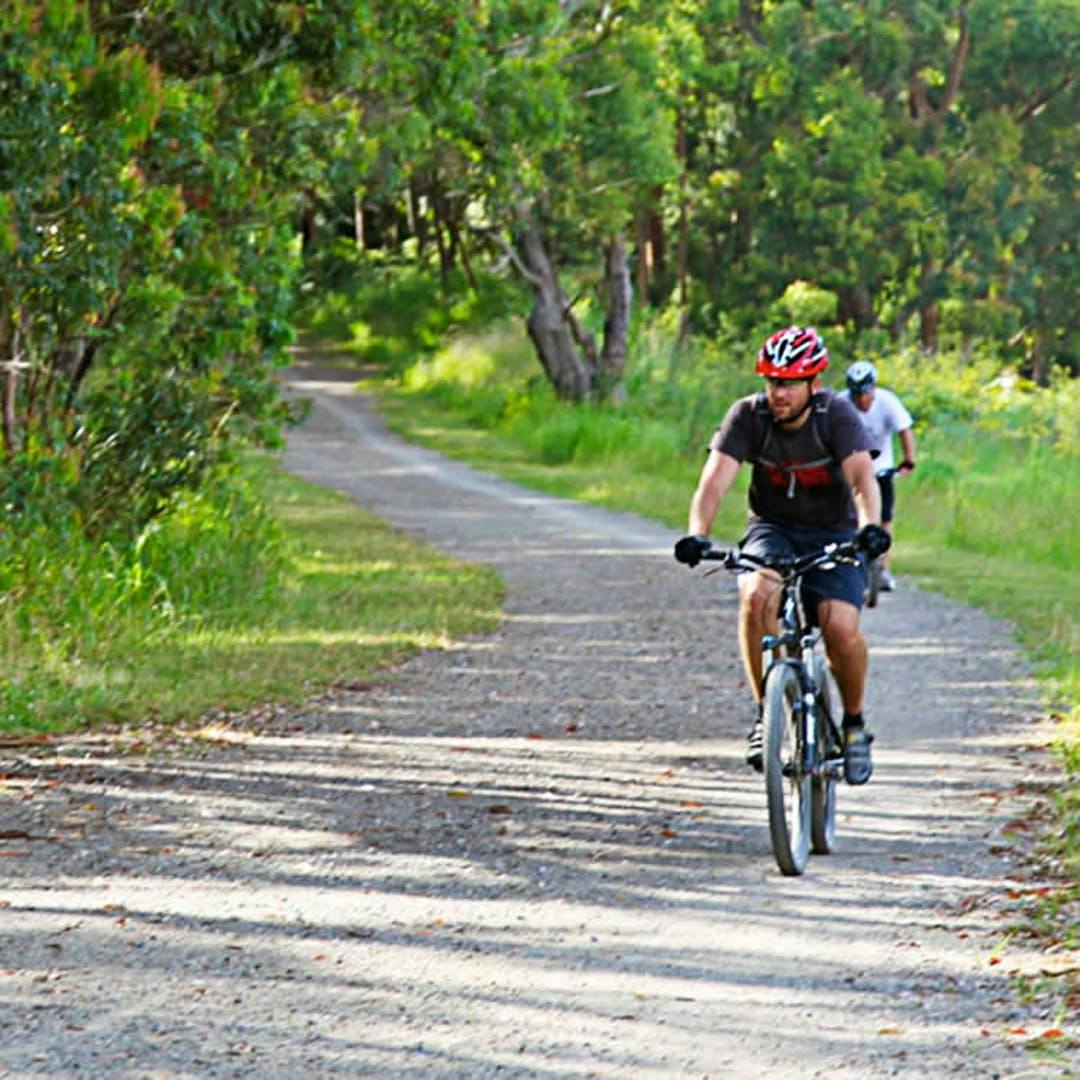 mountainbike-trails-hero