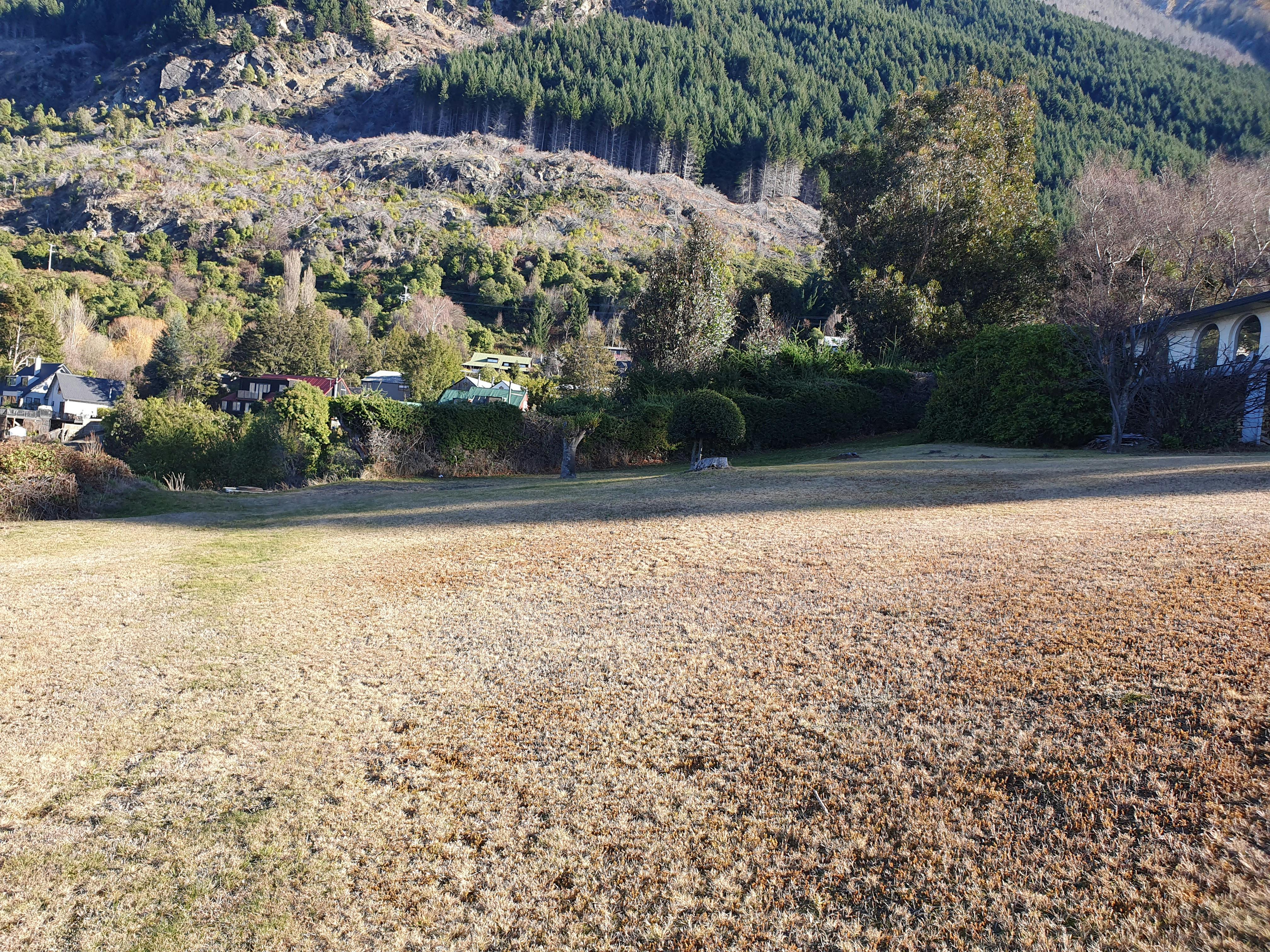 Open area at Sunshine Bay Reserve.