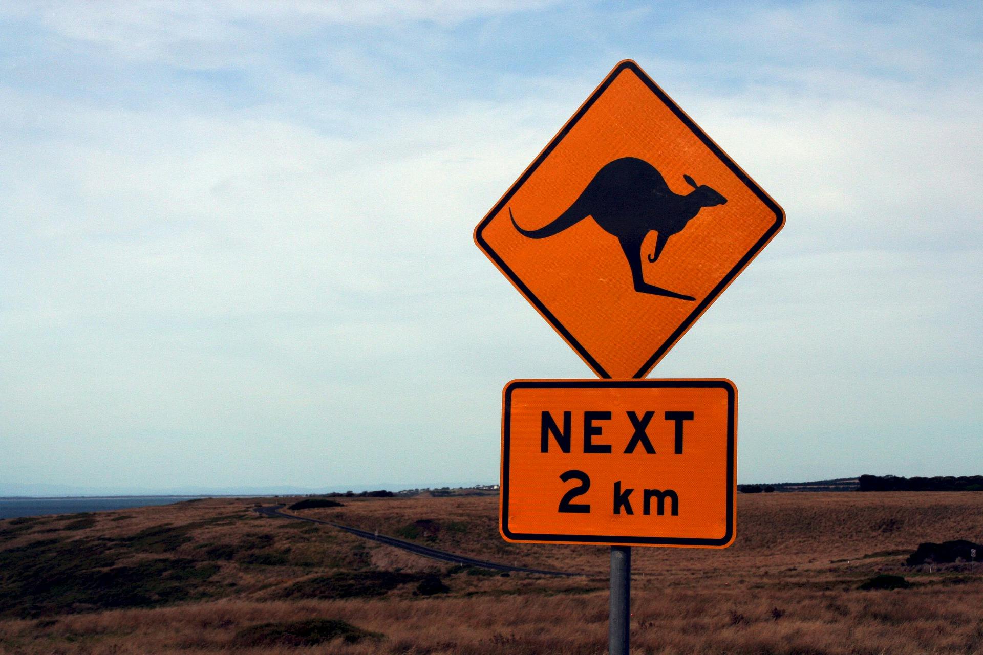 Road sign - kangaroo.jpg