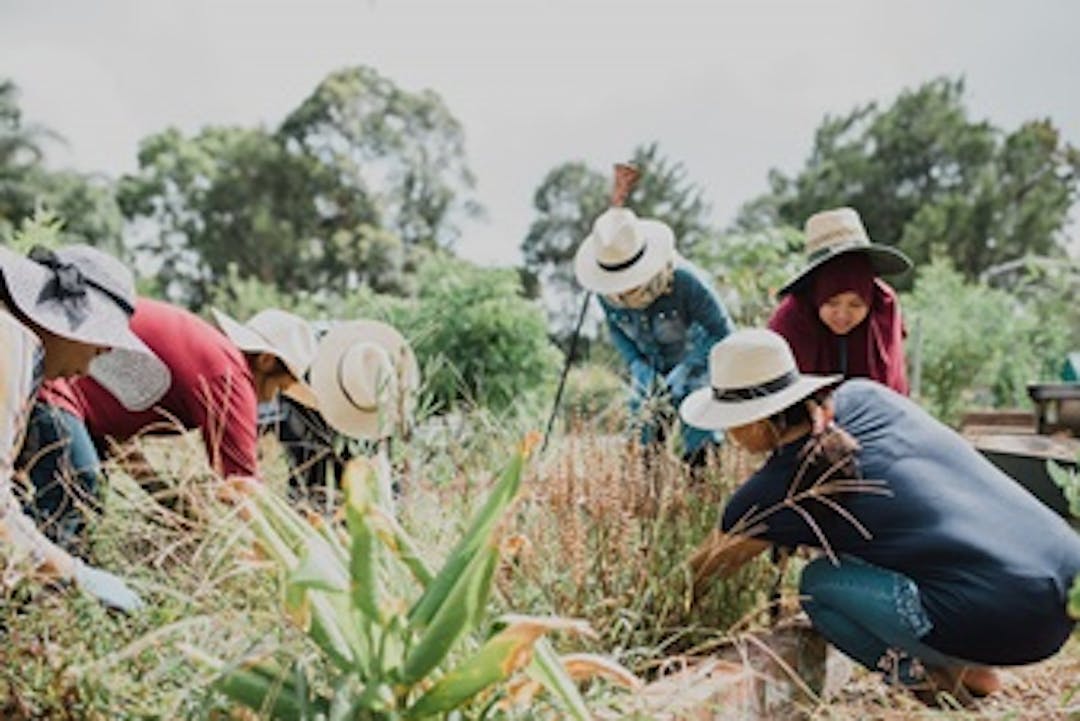 The Vision to protect the diversity of our natural environment