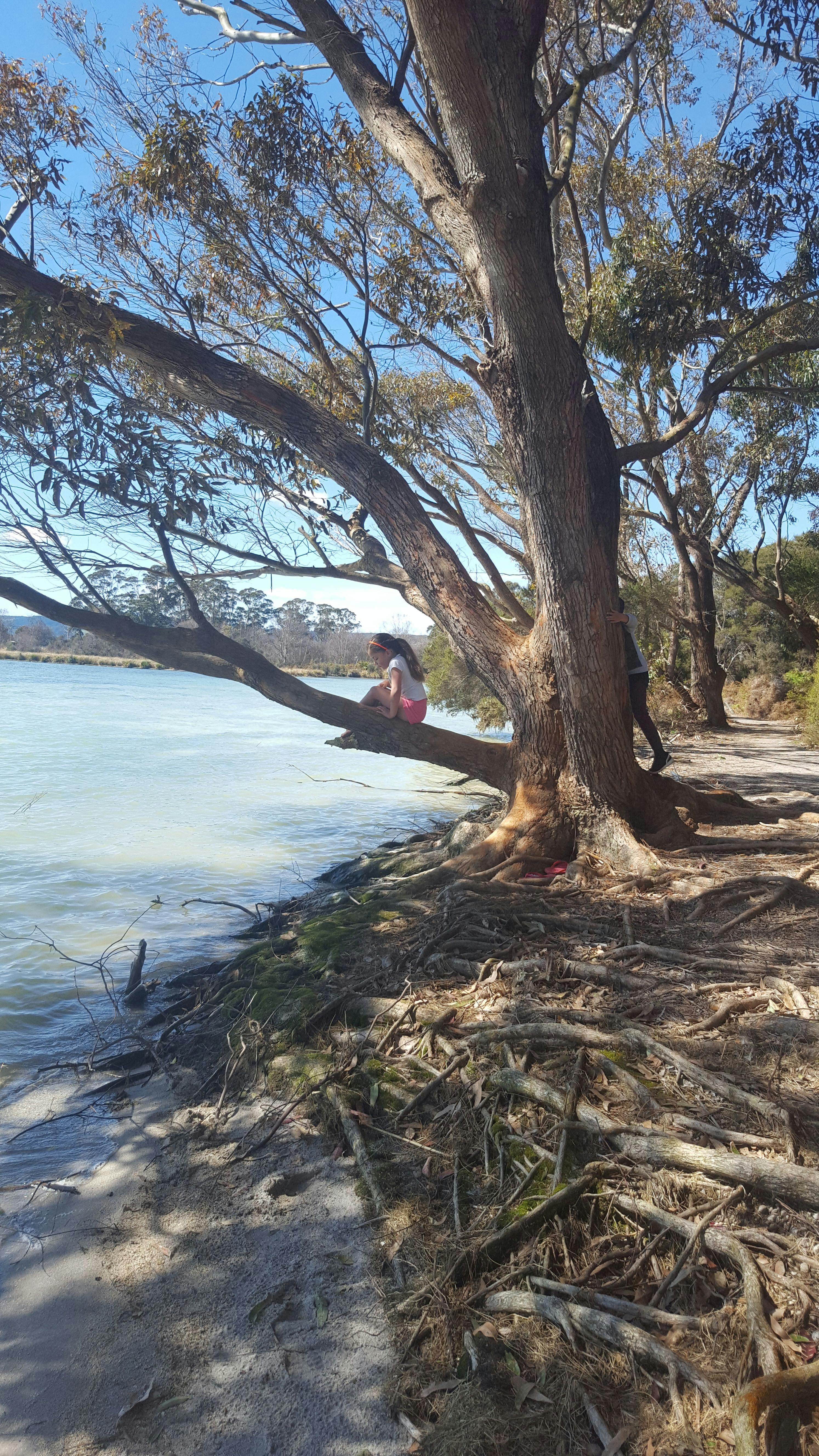 #48 Beautiful sulphur point and its walkways