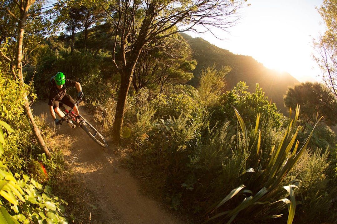 Person mountainbiking