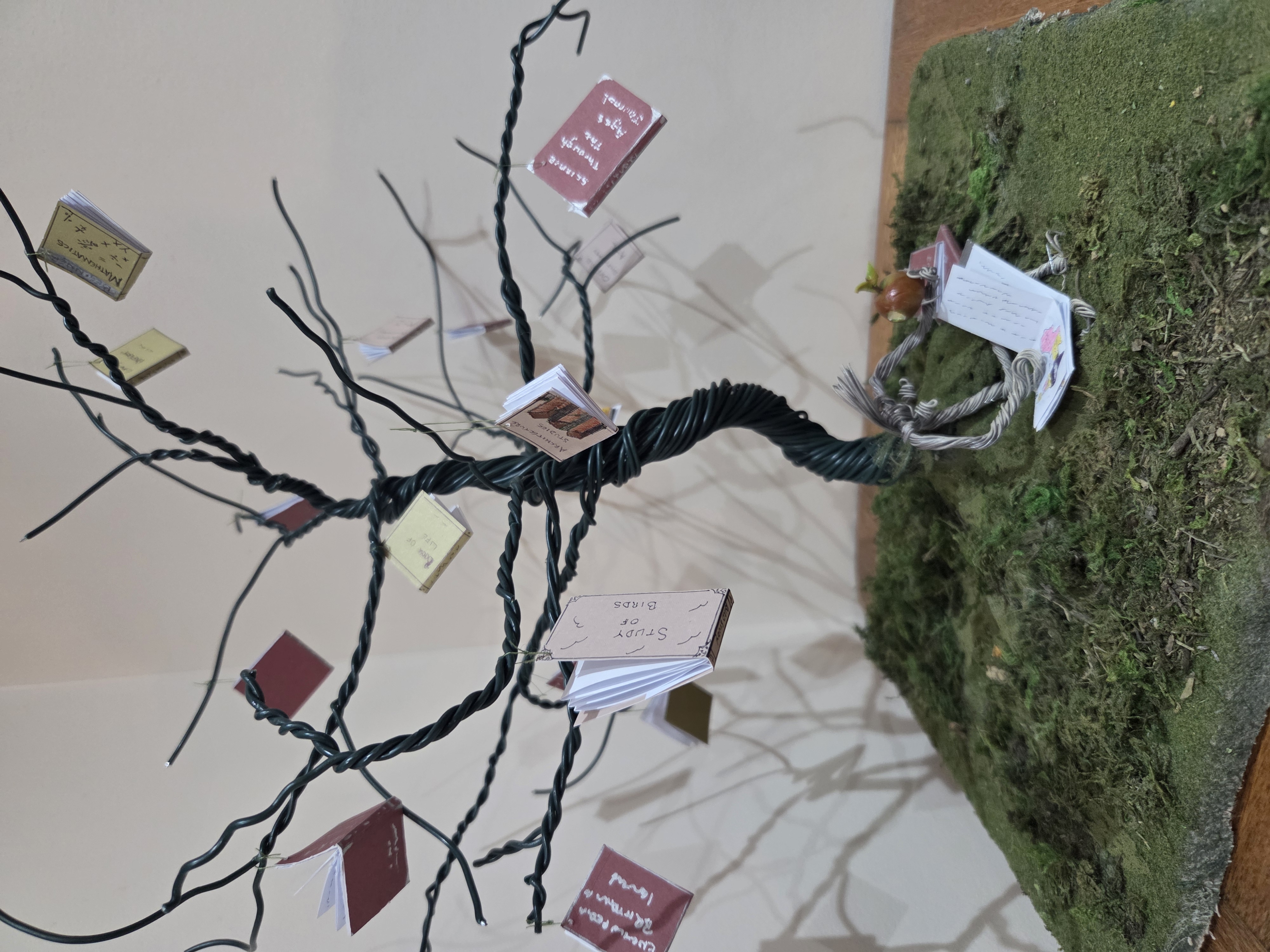 Susan Frisch - The Tree of Knowledge 
