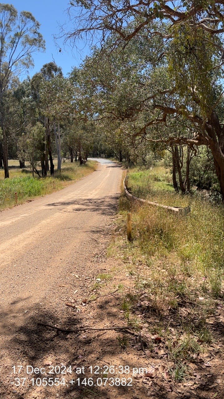 Monkey Gully Potential Treatment 17 Dec 24 (6).JPG
