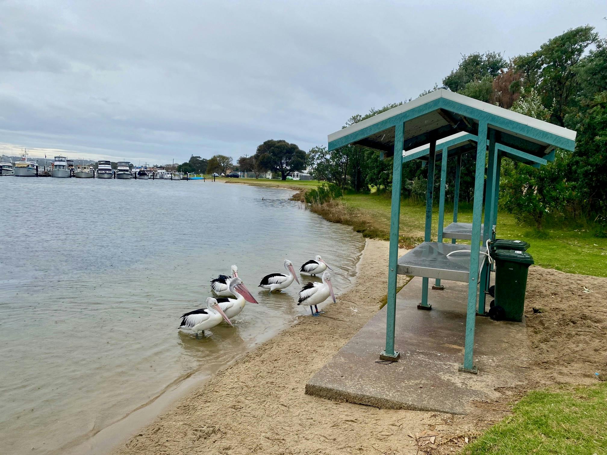 Photos | Lakes Entrance - Apex Park Boat Ramp Carpark | Your Say East ...