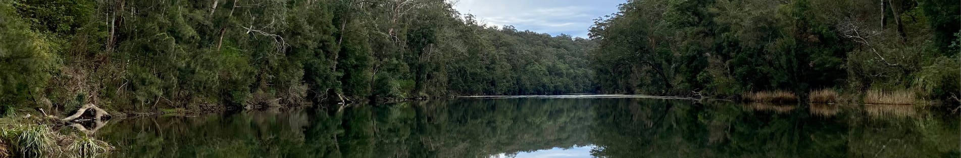 Image of Clyde River, NSW