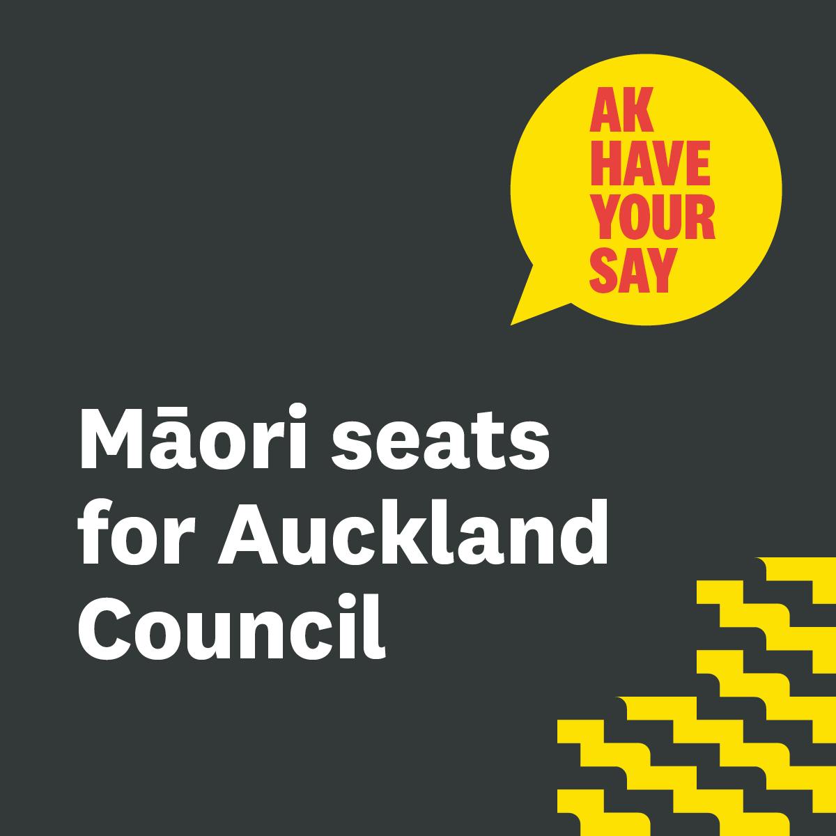 Team member, Māori Seats Consultation Team