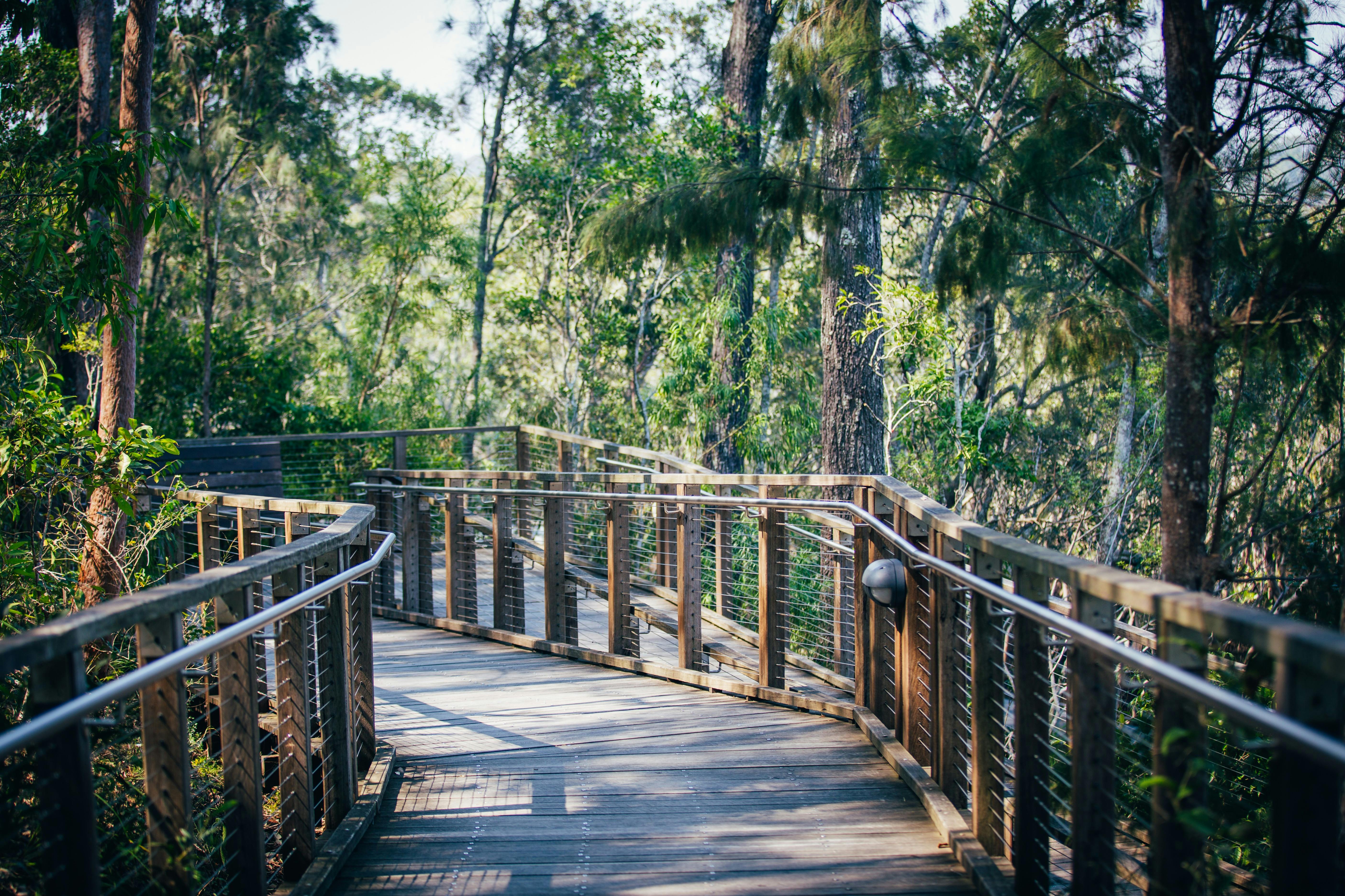 David Fleays Walking Track 2