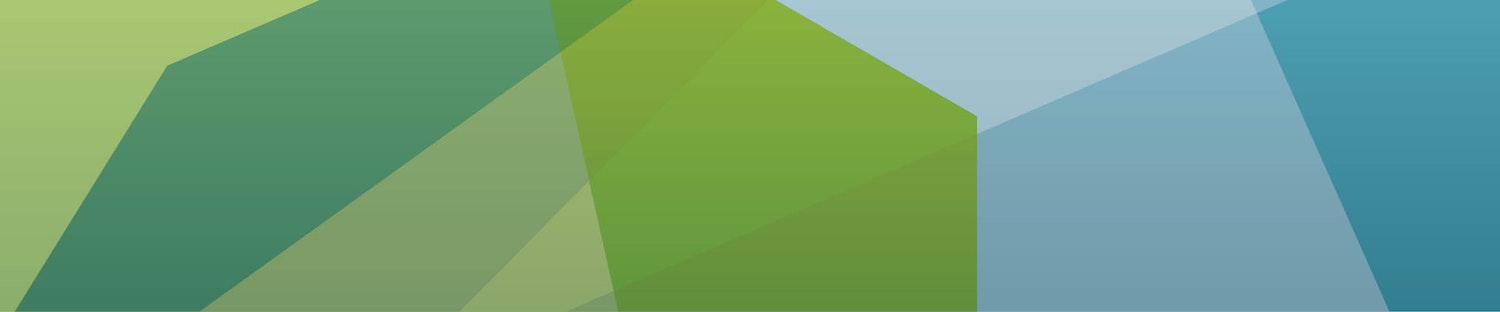 project banner