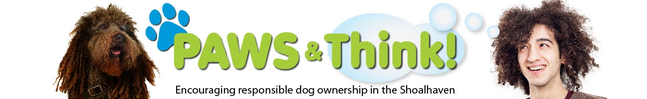 An educational campaign to stop dog attacks in the Shoalhaven