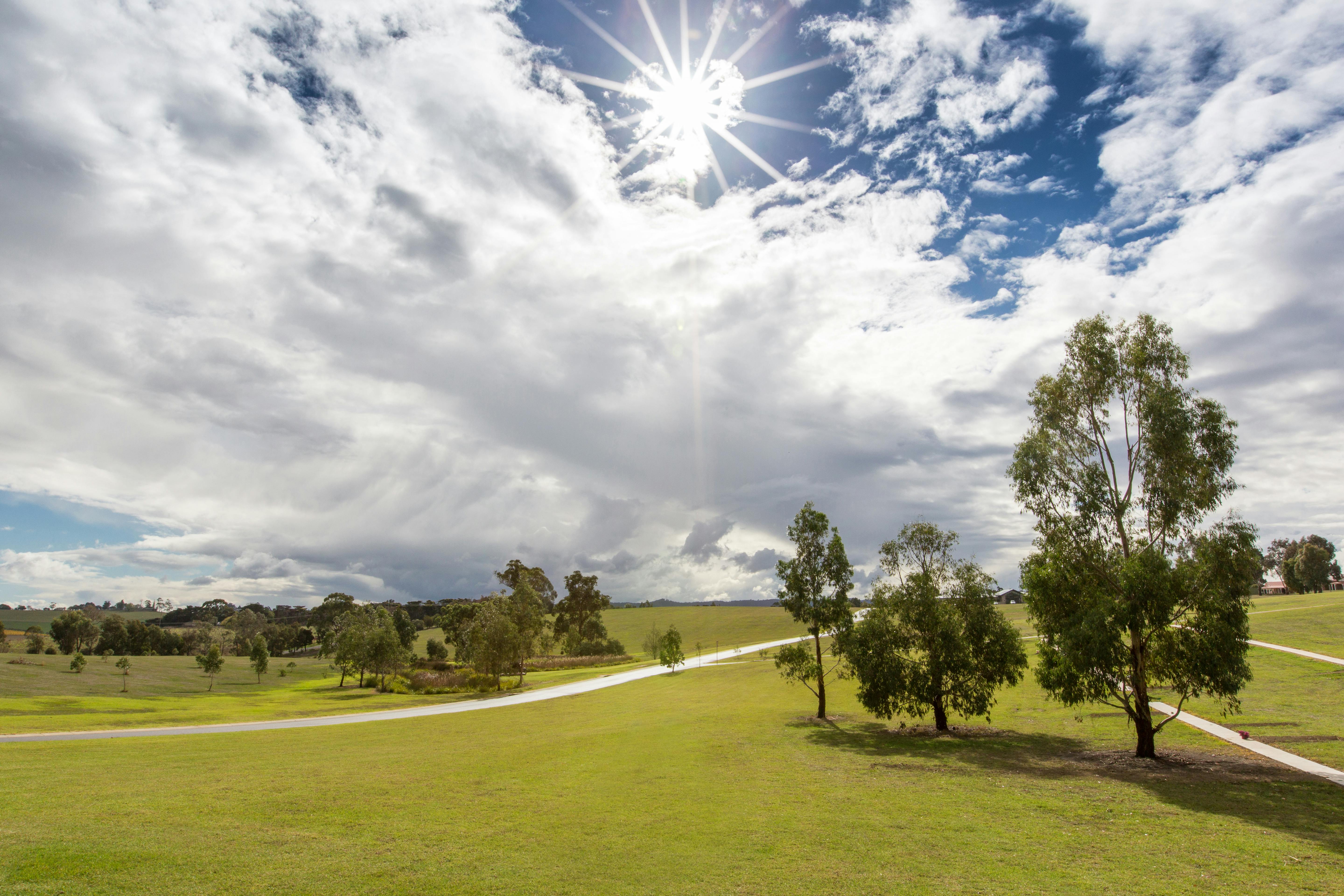 Lilydale Memorial Park - hero.jpg