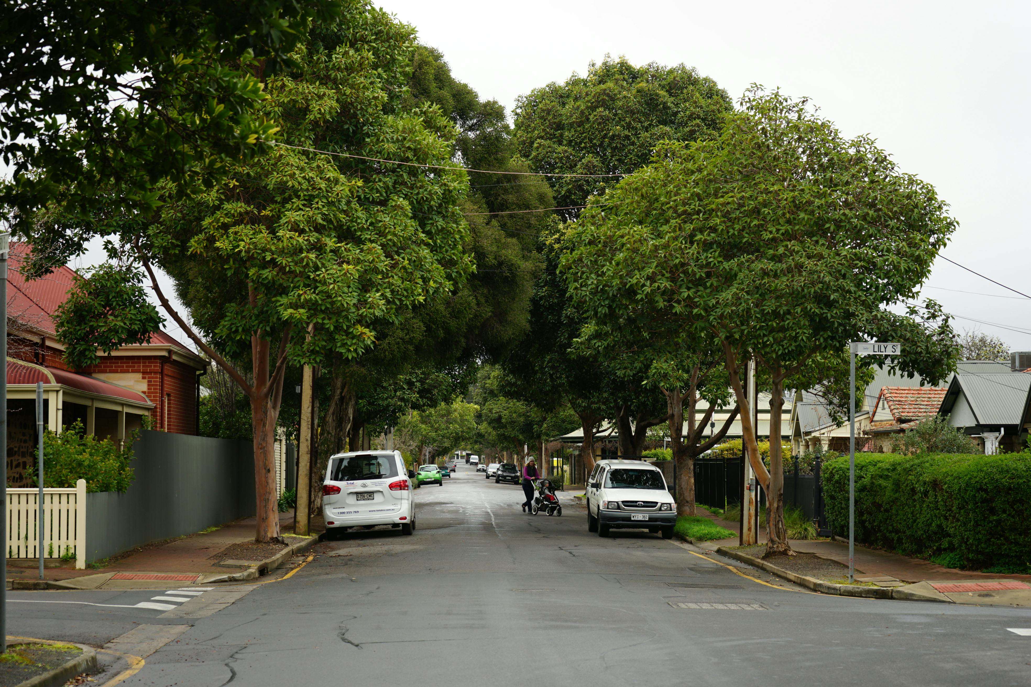 Hardy Street 2