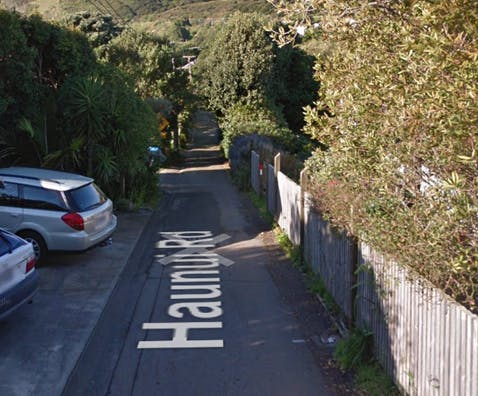 Haunui Road street view.png