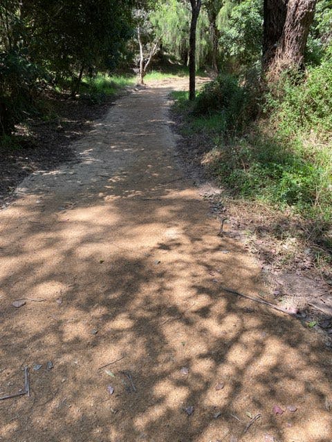 Jemmys Point Reserve to Point Road trail - 8 November 2023