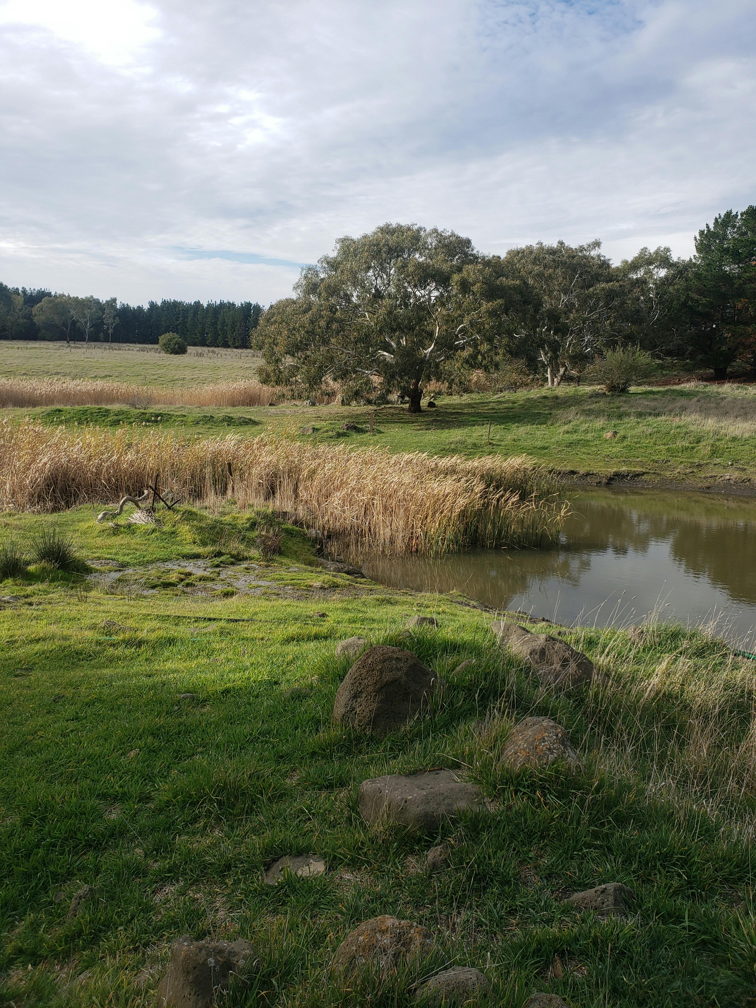 Merri Creek - Rocky creekbed.jpg