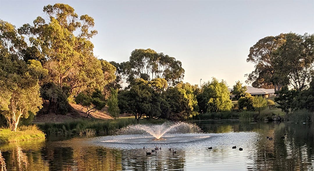 The park is located  between Tyneside Loop and Pebble Beach Boulevard in Meadow Springs and features a freshwater lake which is home to waterbirds.
The design intent is to maintain the overall character of the park as a relaxing place to walk around and enjoy nature.