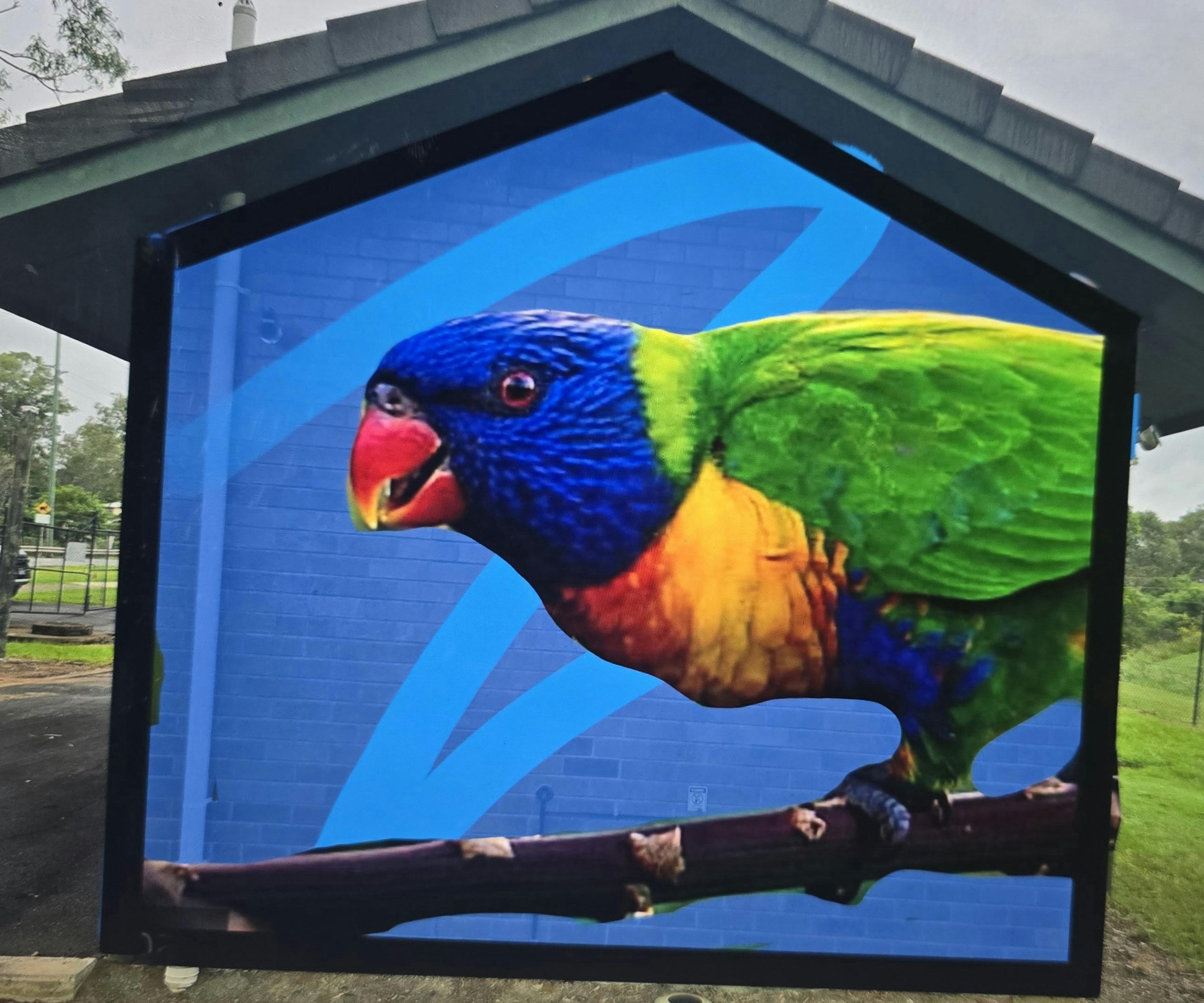 Side option 3: Lorikeet