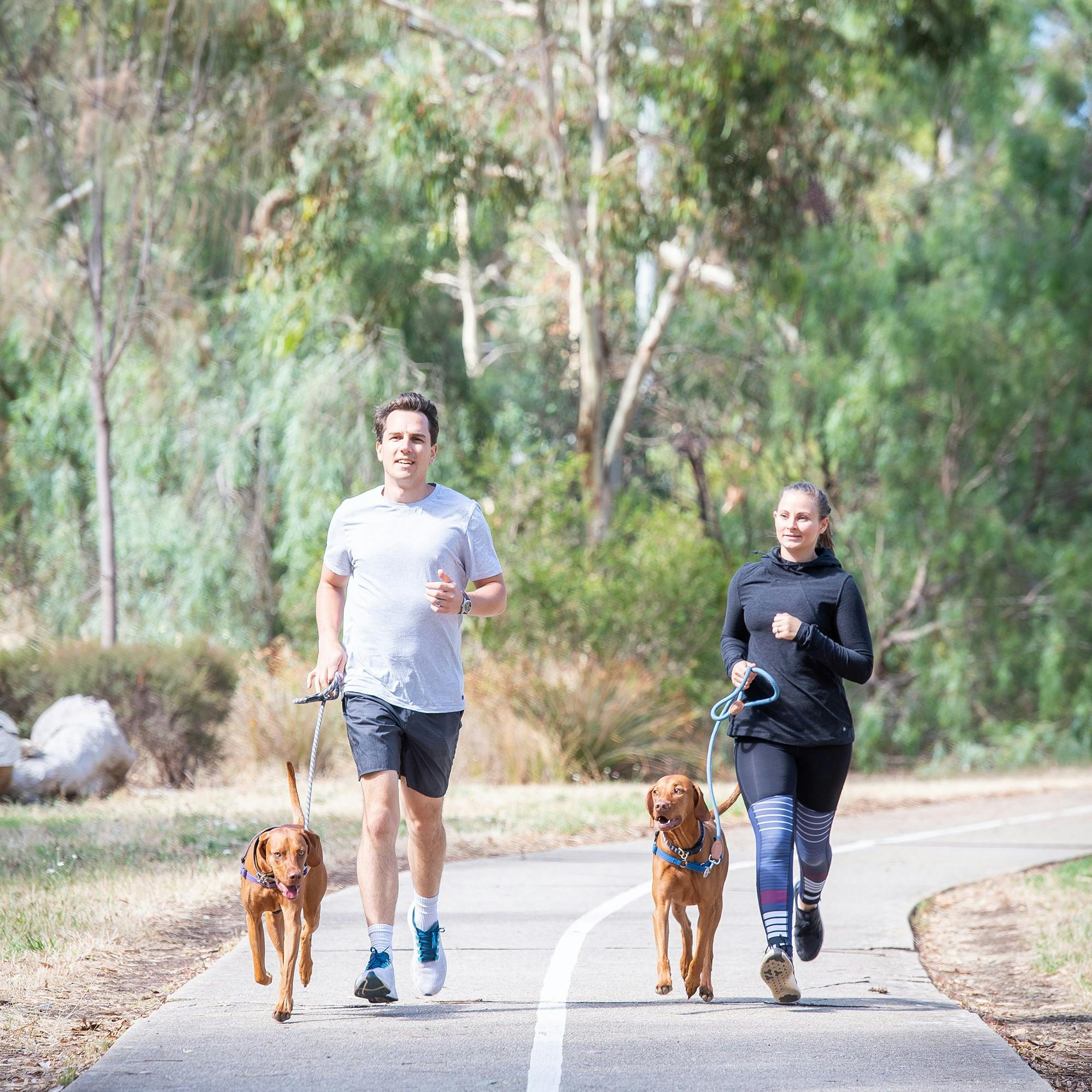 Man and women jogging with their dogs along Dry Creek shared pathway
