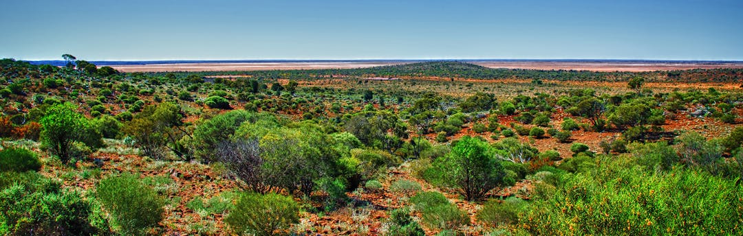 regional-wheelchair-accessible-vehicle-taxi-service-grants-kalgoorlie