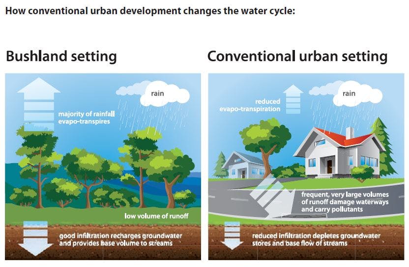 How Conventional Urban Development Changes The Water Cycle