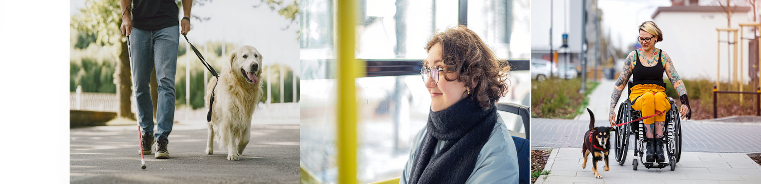 Transport Equity For ALL | Inclusive Futures: Reimagining Disability