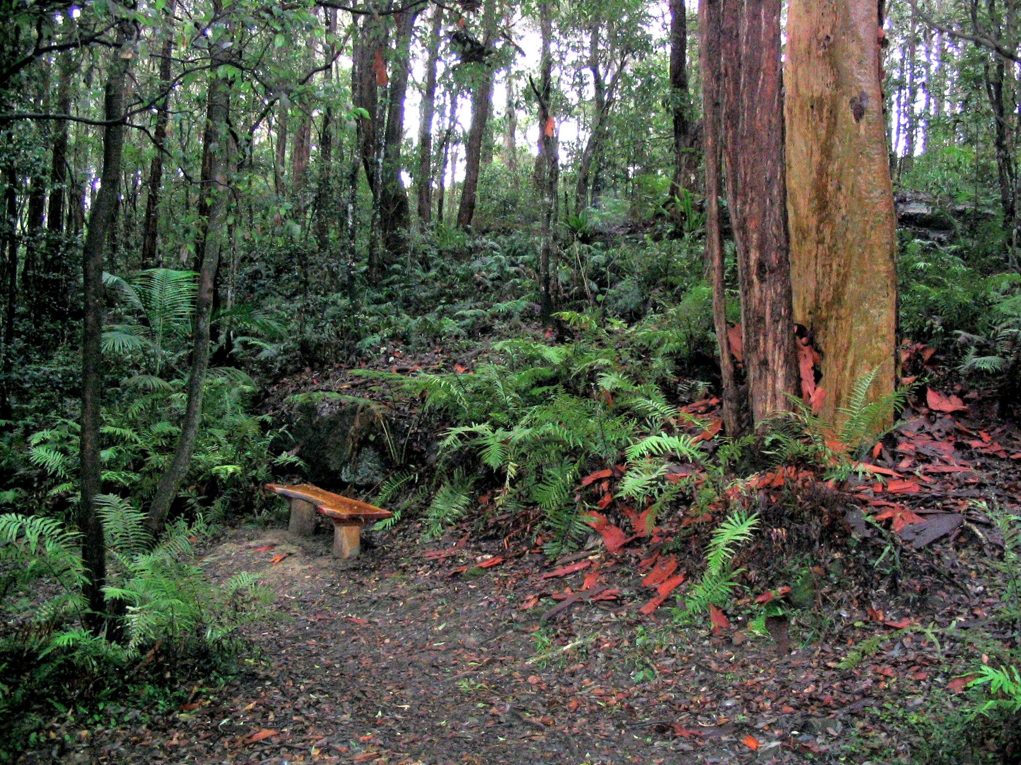 Bench Near Swaines Creek Ferndale