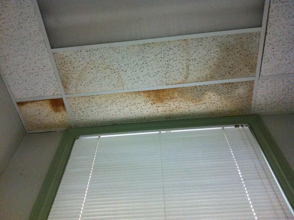 Damaged ceilings _ School of Arts