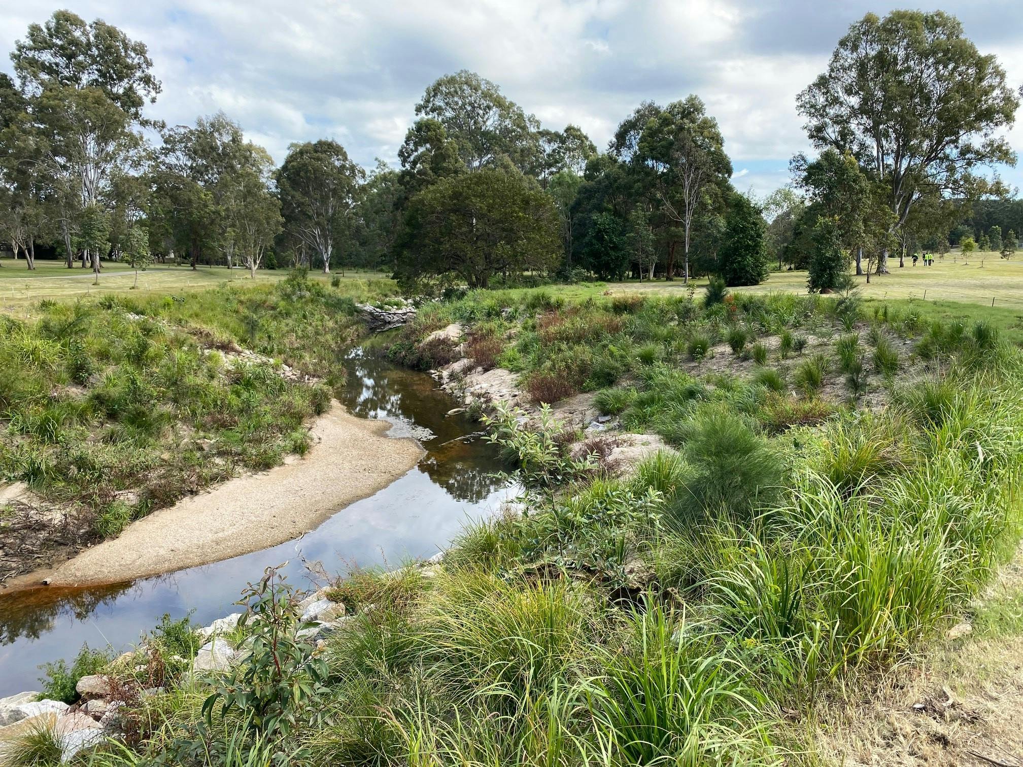 Downfall Creek - vegetation establishment in areas of the project completed during 2021