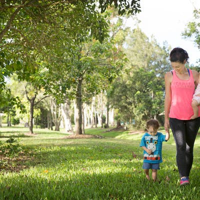 Proserpine Johns Estate Park
