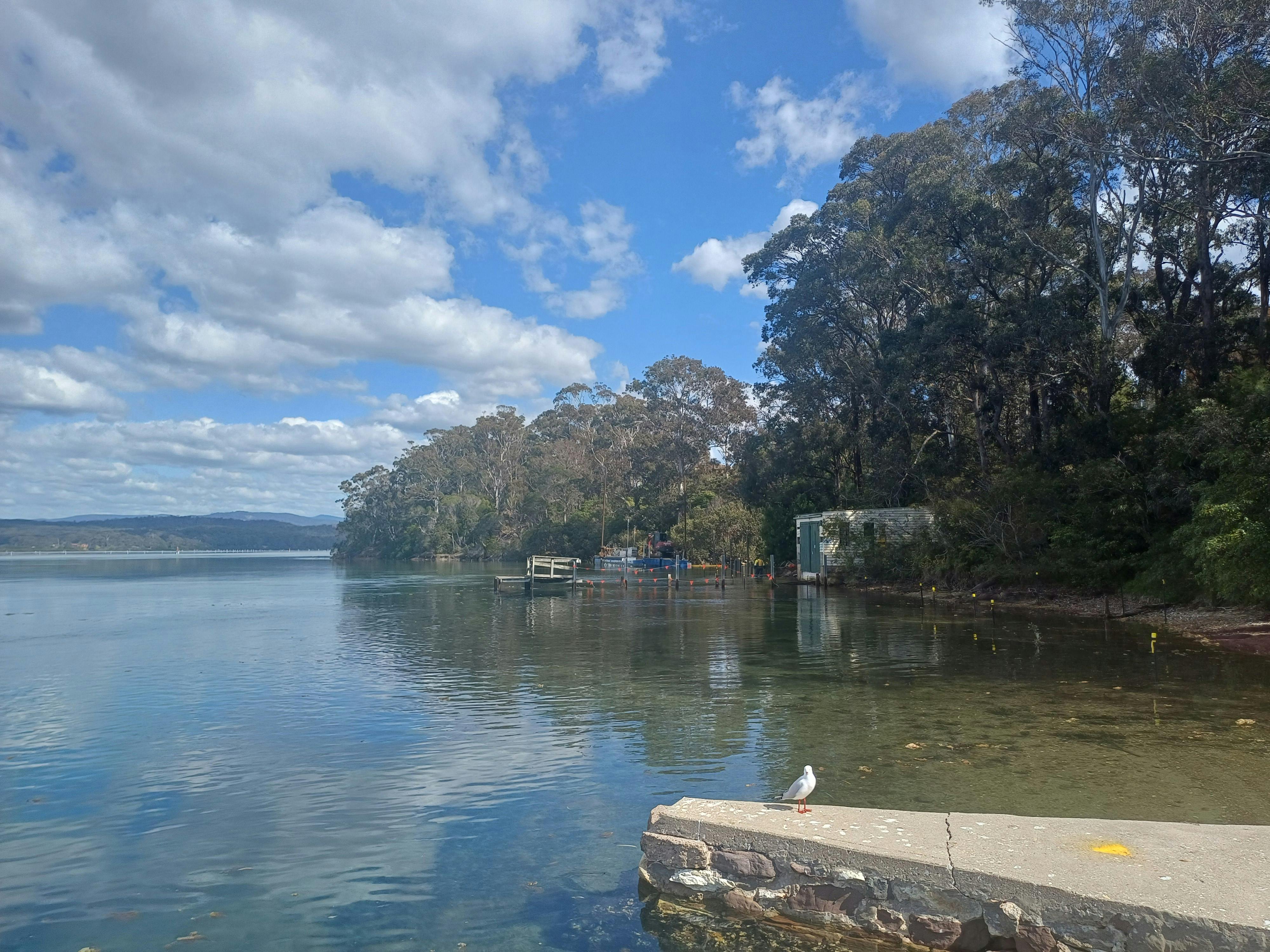 Merimbula Boardwalk construction - September 2026 7.jpg