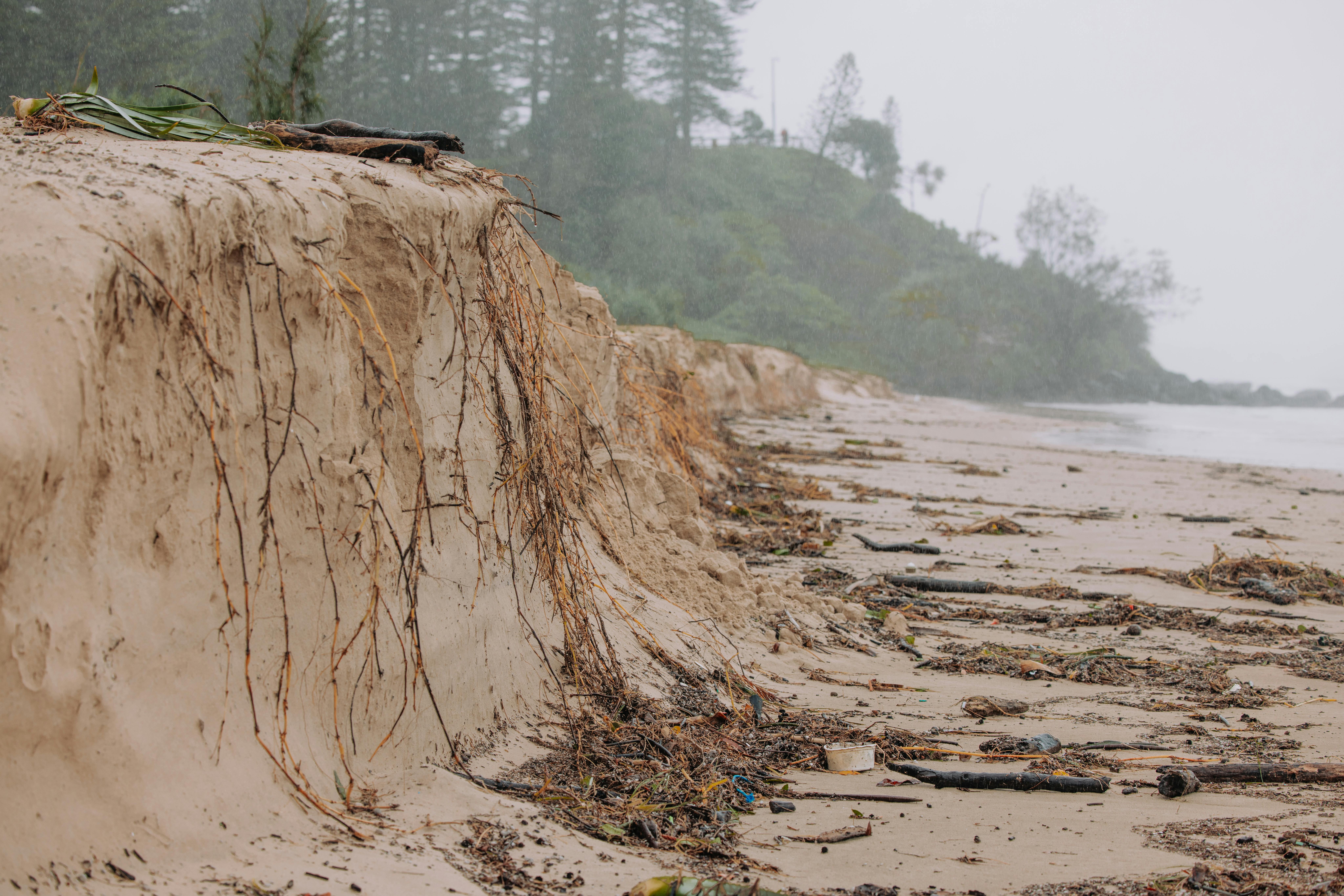 Cyclone Alfred 3