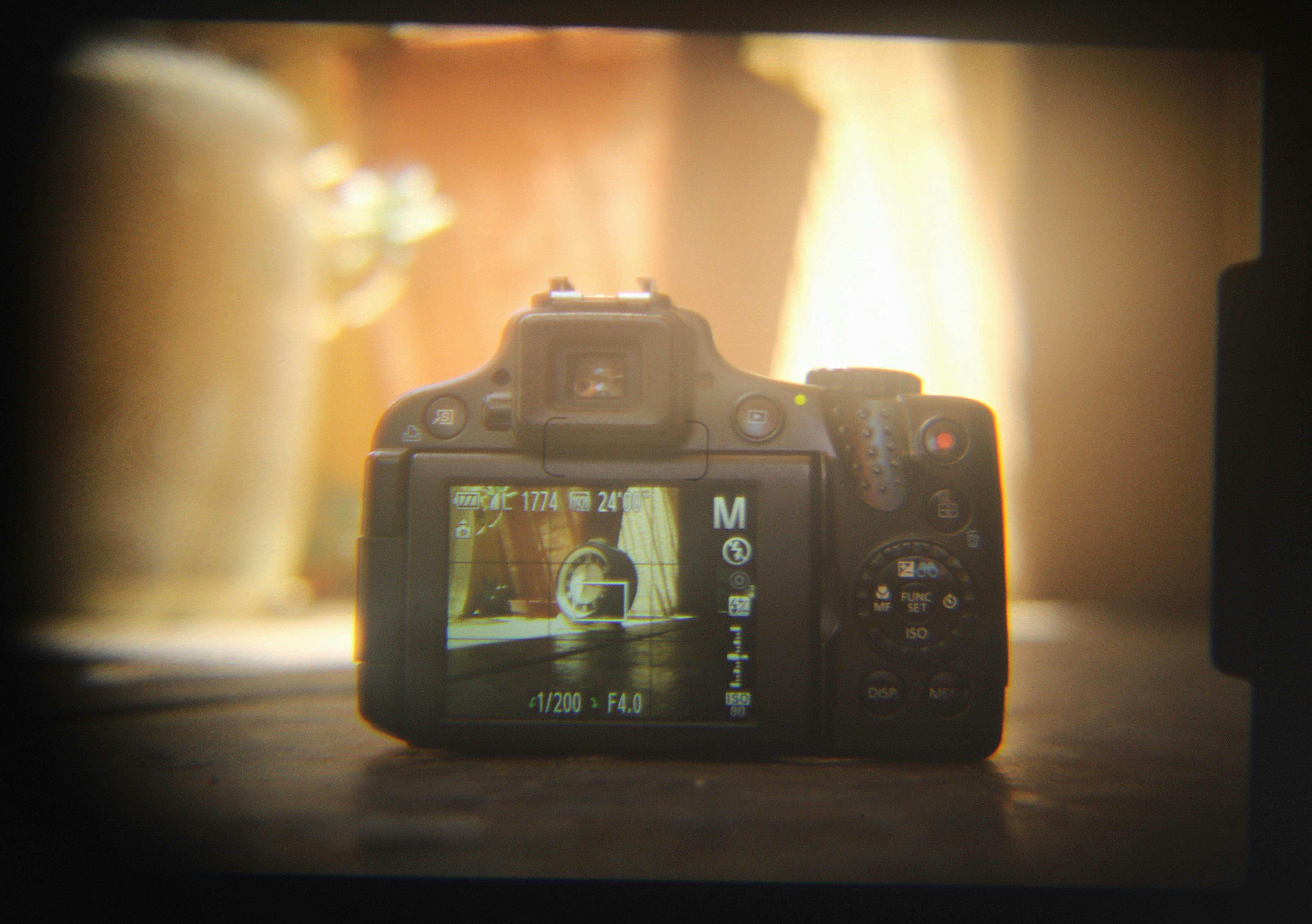 Andrew Shilabeer - Still Life.jpeg