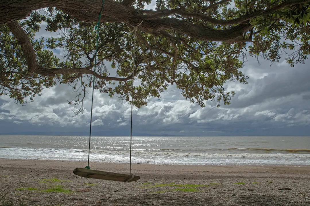 Tree swing at beach