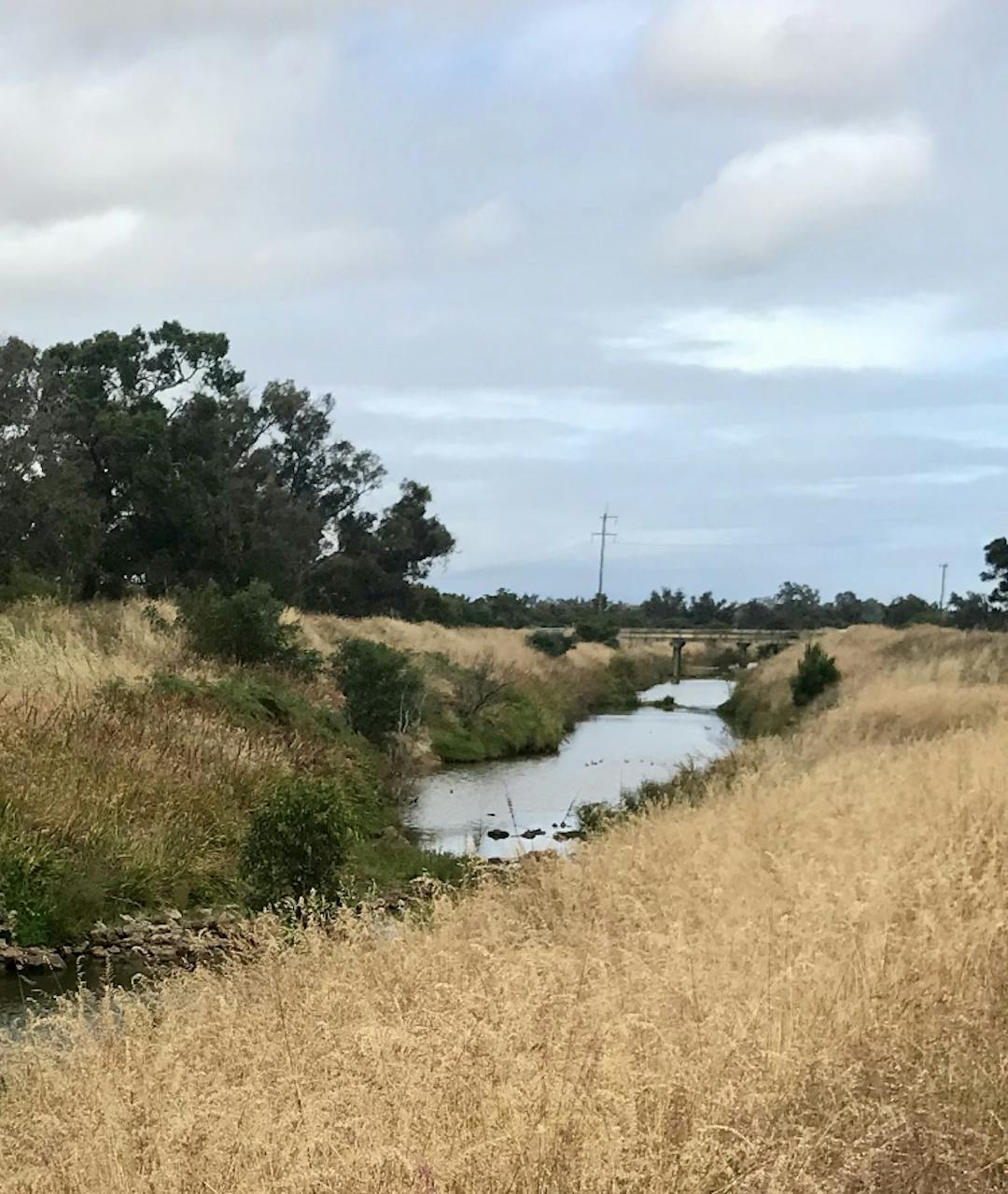 Vasse Diversion Drain in Bovell The drain will be widened to hold more water for flood protection.