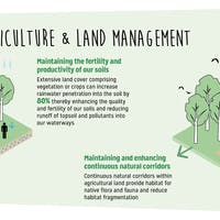 Green.IS | Have your say - TRC