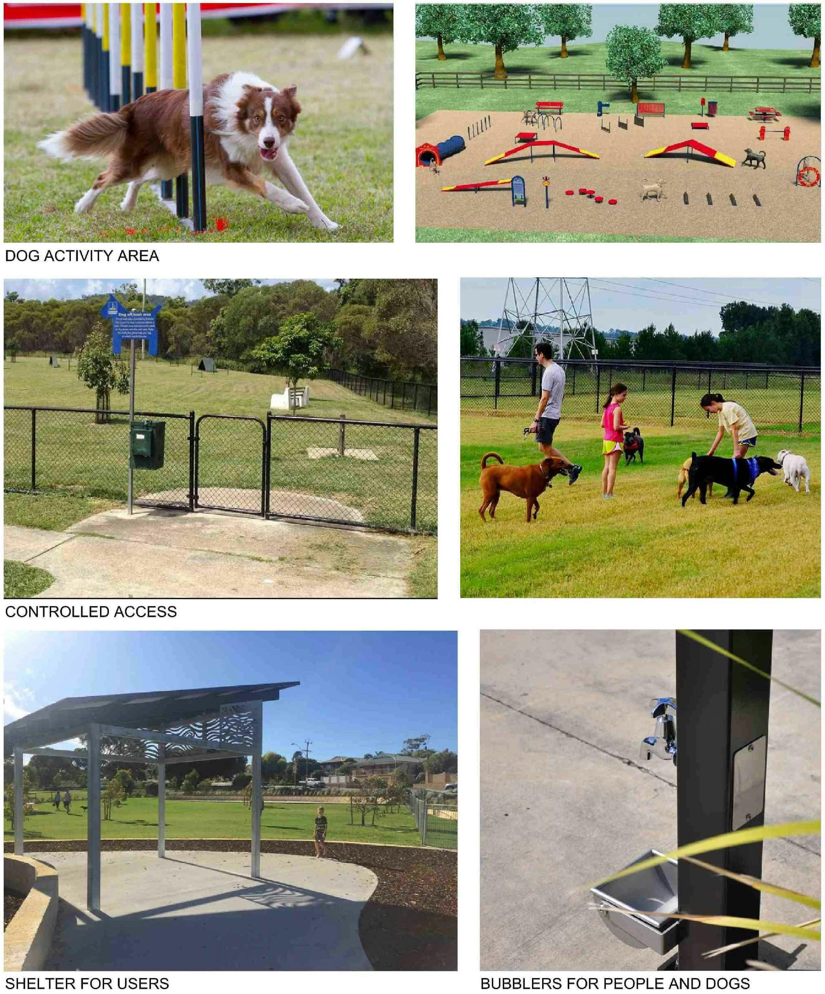 Fenced dog and agility area