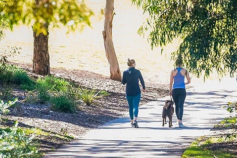Two women and a dog jogging in Linear Park.