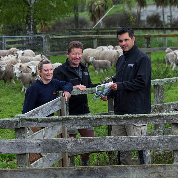 Monitoring And Compliance Feedback 2019