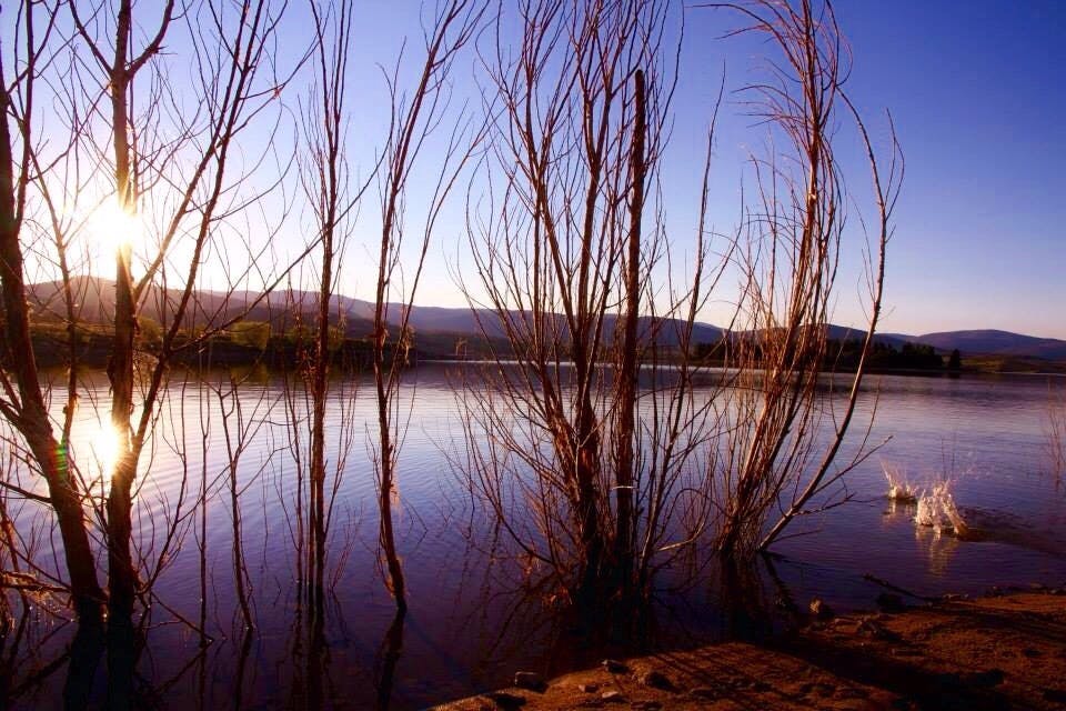 Angelique Gaynor Landscape Reflections