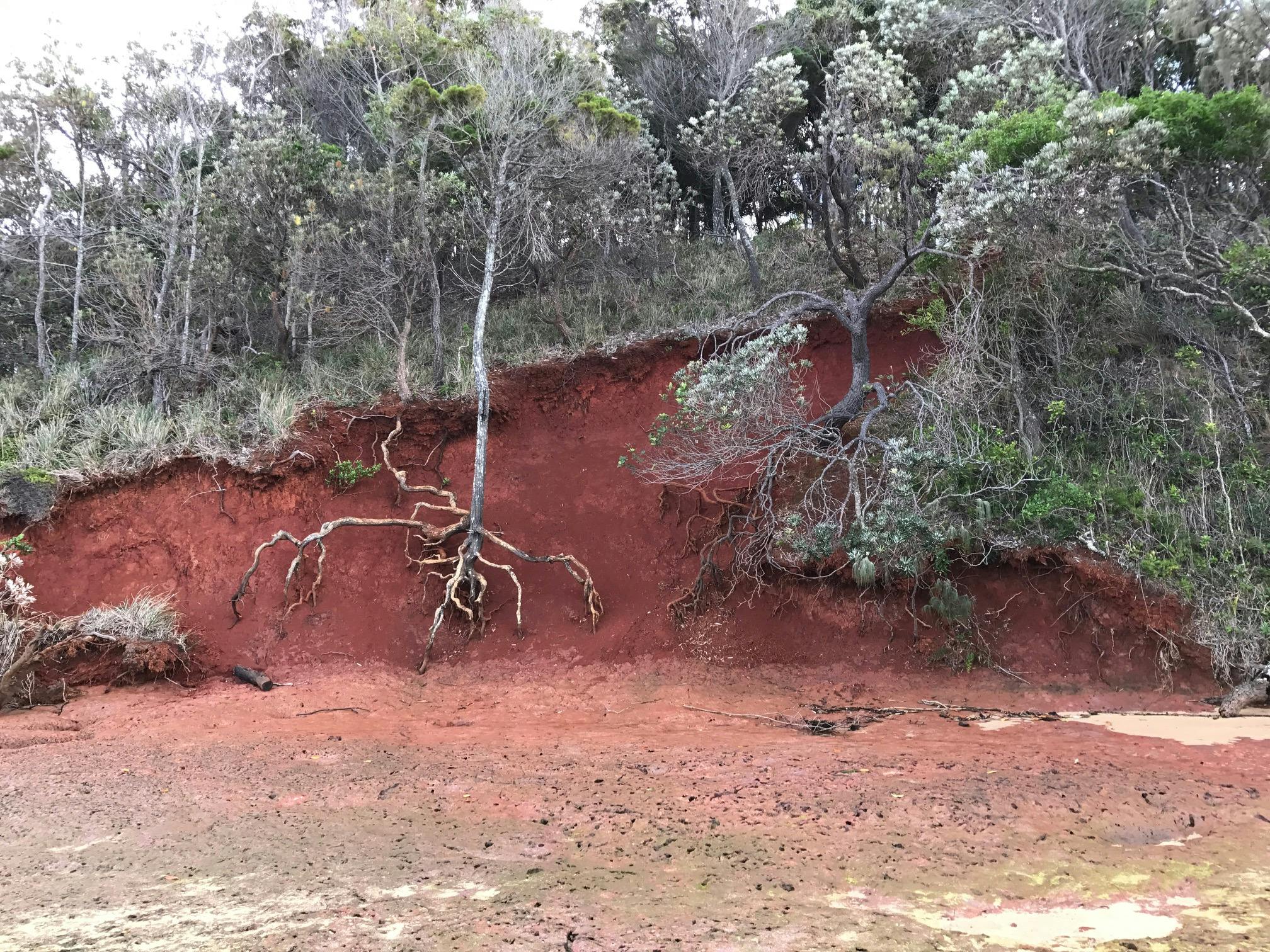 Erosion at Red Rock, Coochiemudlo Island 