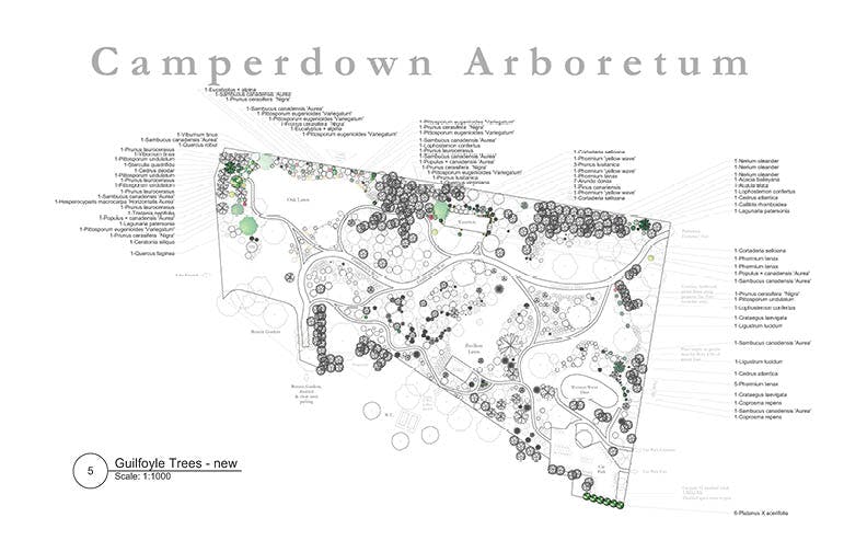 Guilfoyle Trees - new