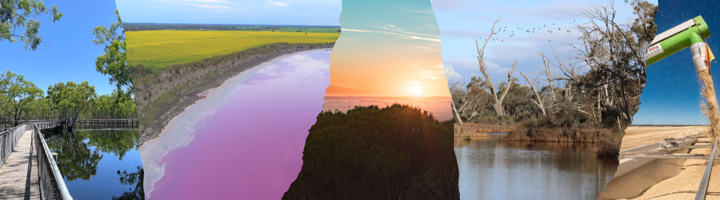 project banner