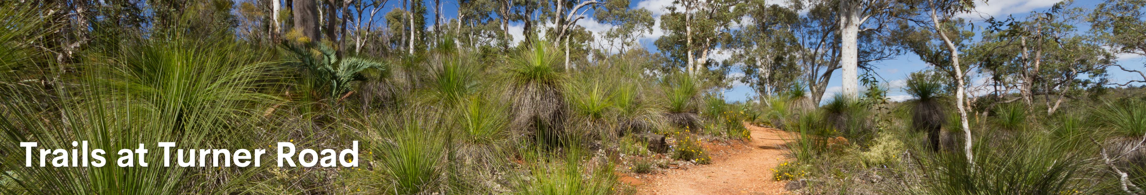 Trails at Turner Road