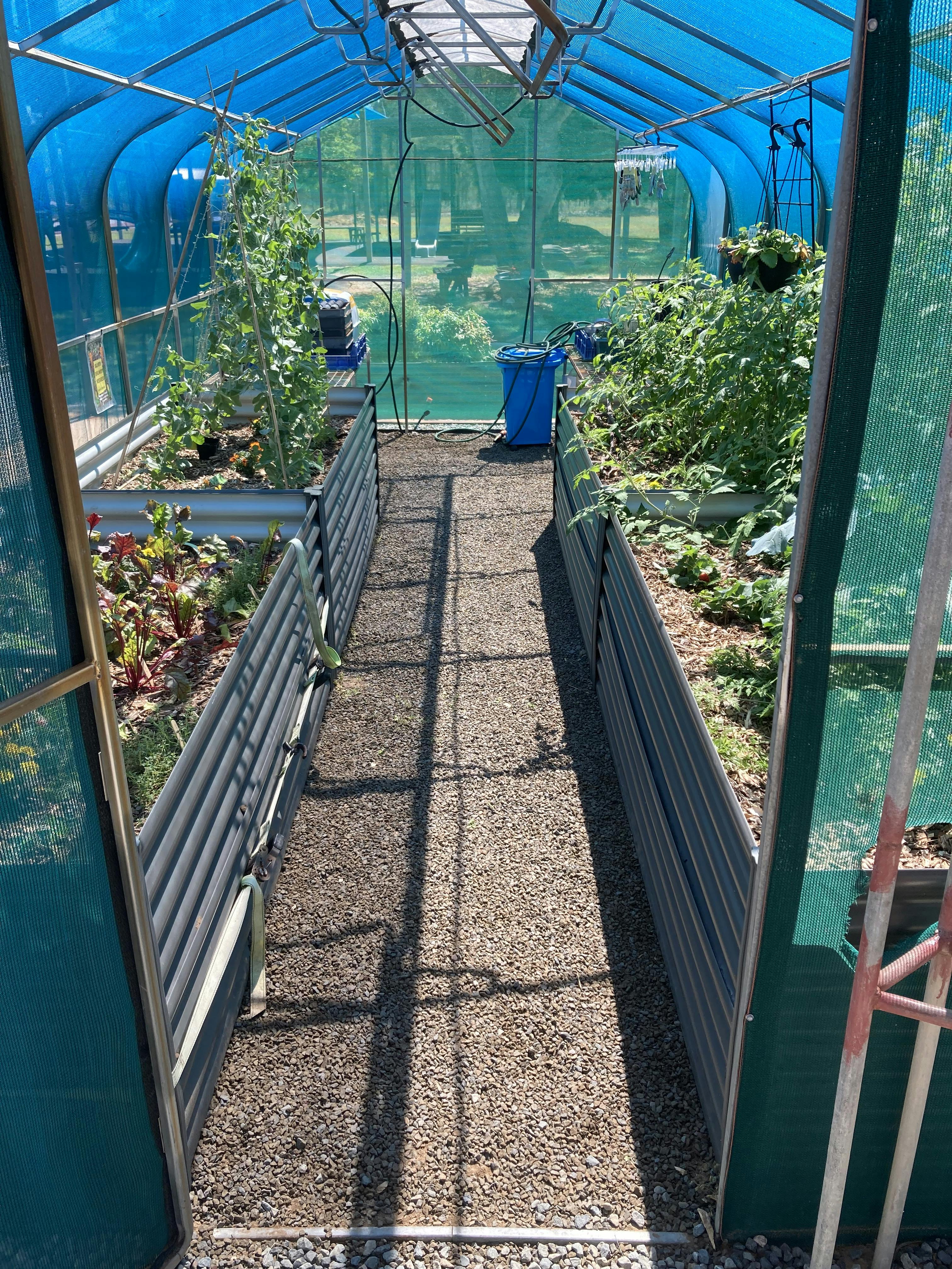 Tiny Tots and Green Thumbs.jpeg