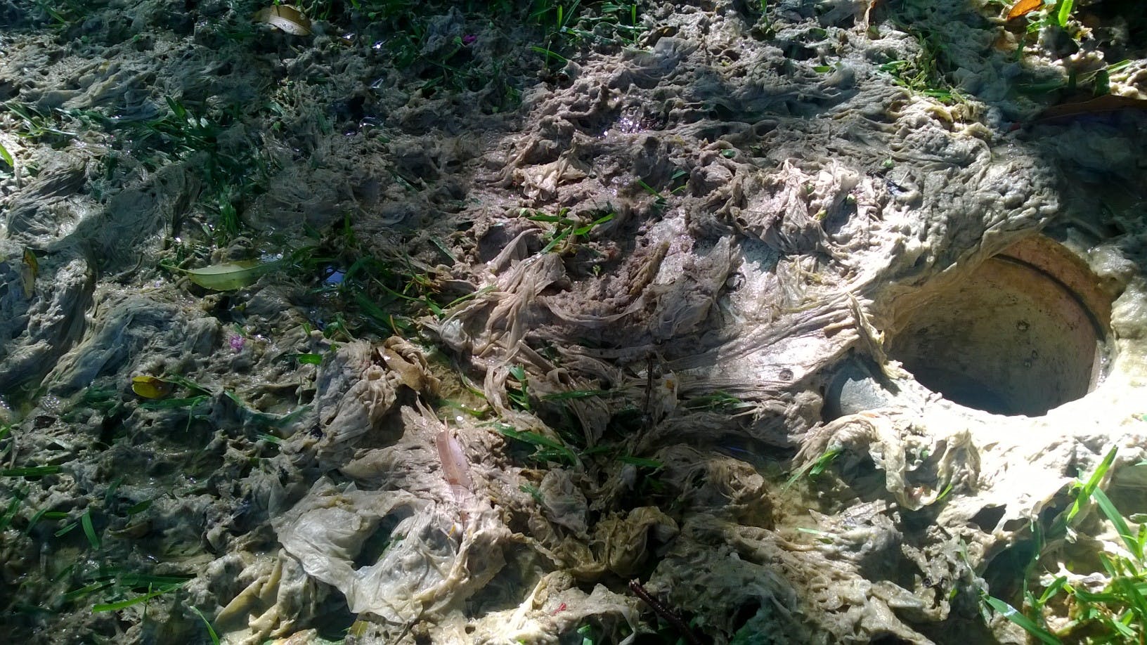 Wipes at a customer's property in Chatswood