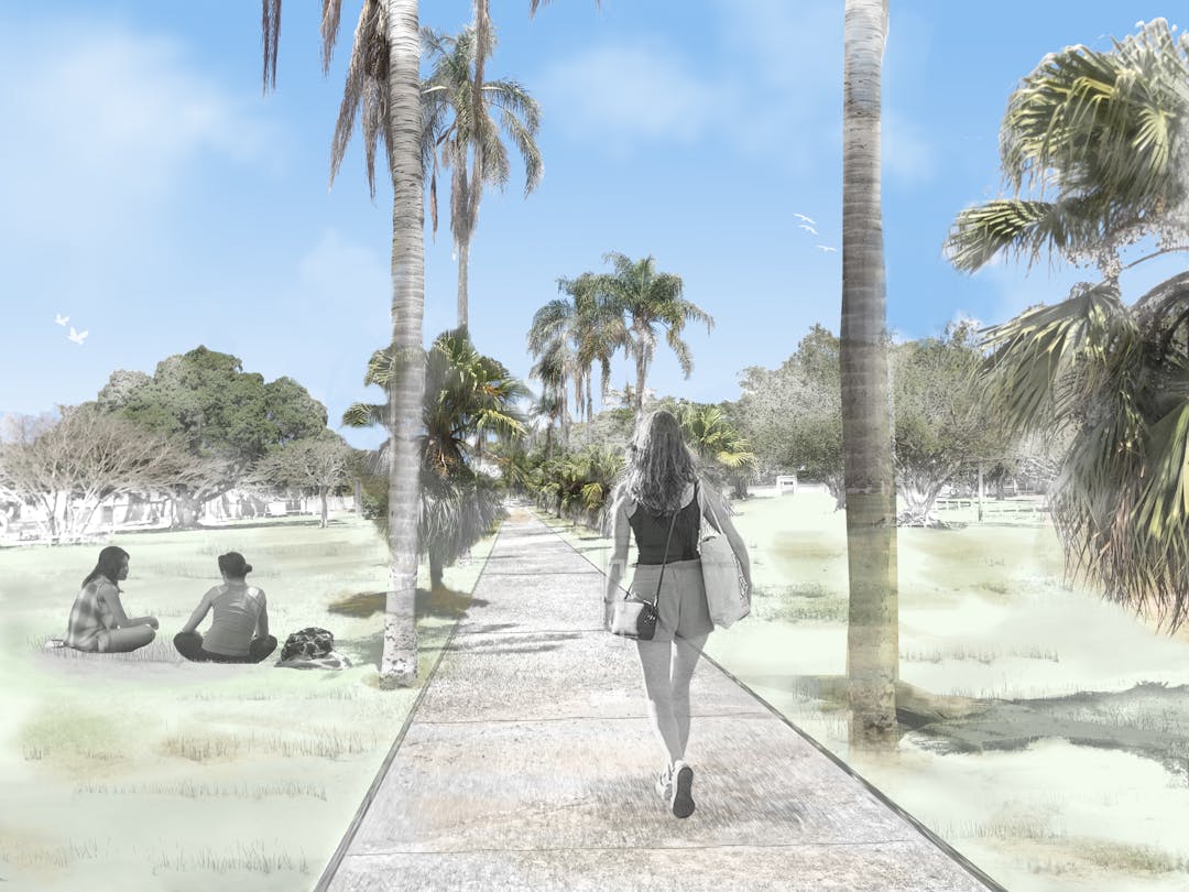 concept image for new ascot park girl walking through park on path with palm trees and grass 