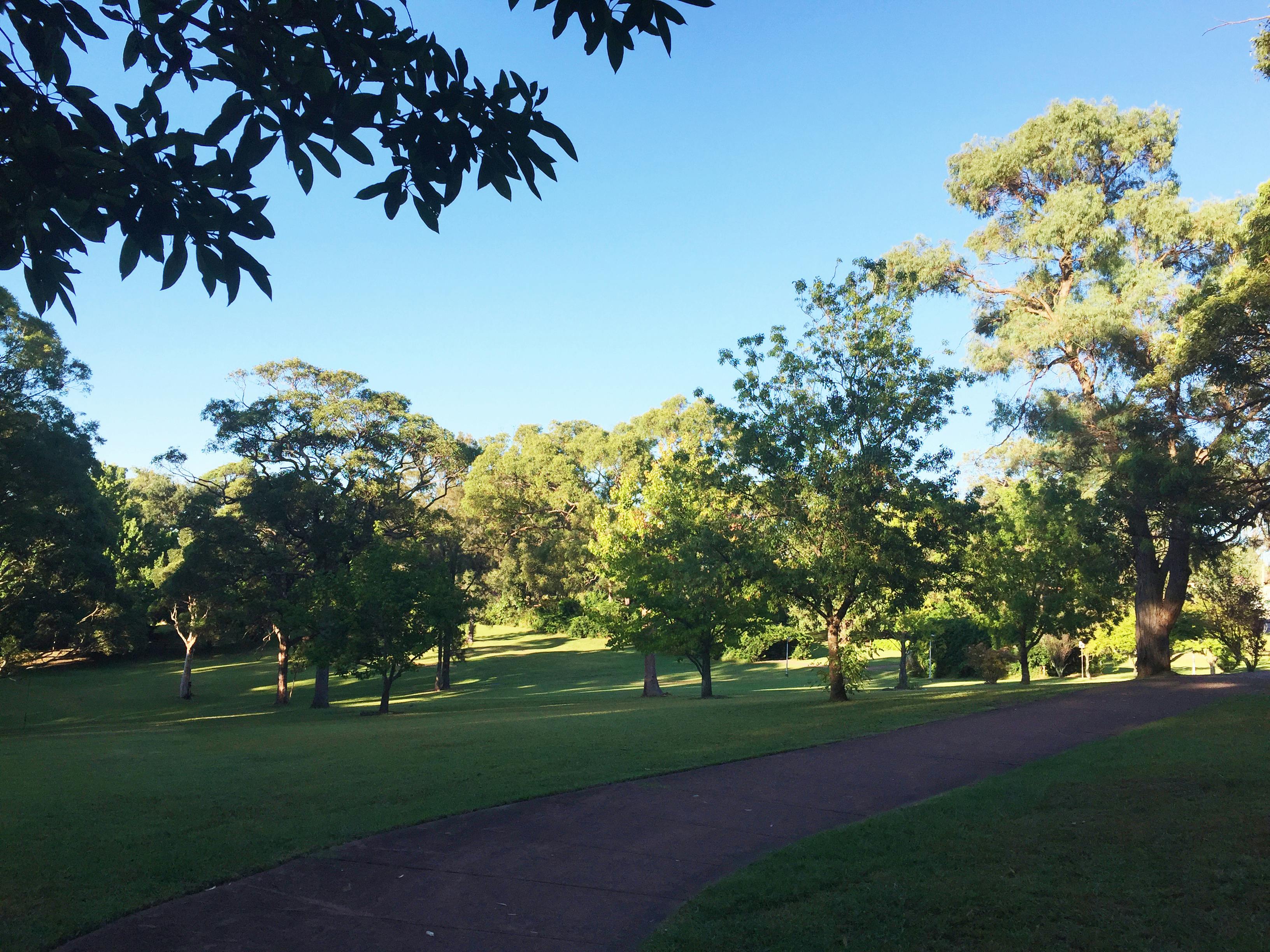 Early morning at Buttenshaw Park, Springwood