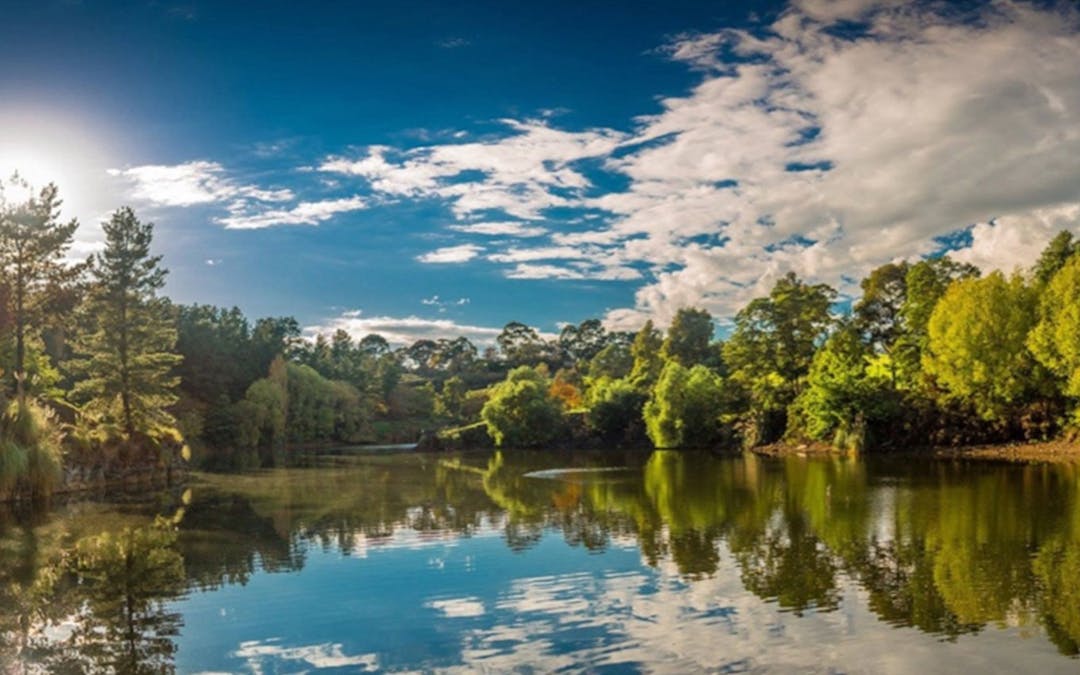 Casey Conversations Homepage