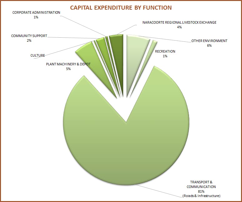 Capital expendtiure by function
